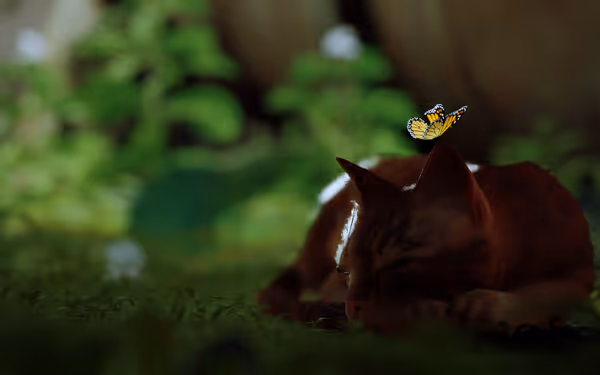 A brown cat sleeps on the grass while a yellow butterfly rests on its head.