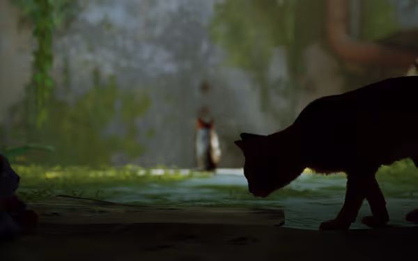 Three cats are positioned in an overgrown, abandoned area; two are in shadow, one distant.